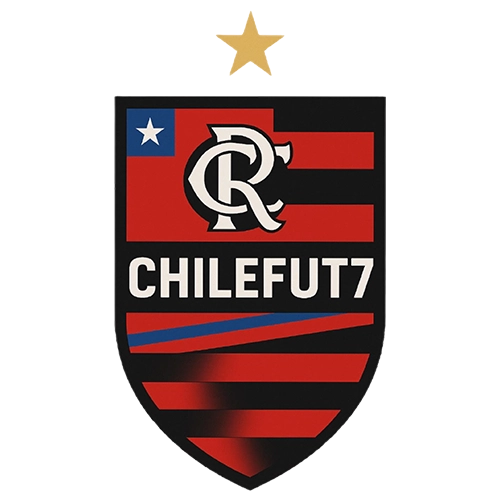 Flamengo Fut Chile